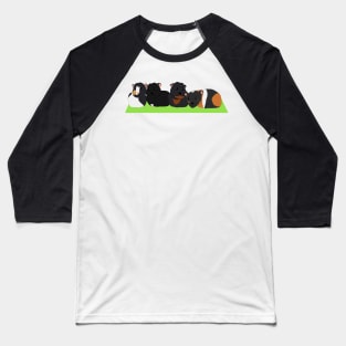 Animals - Guinea pig family Baseball T-Shirt